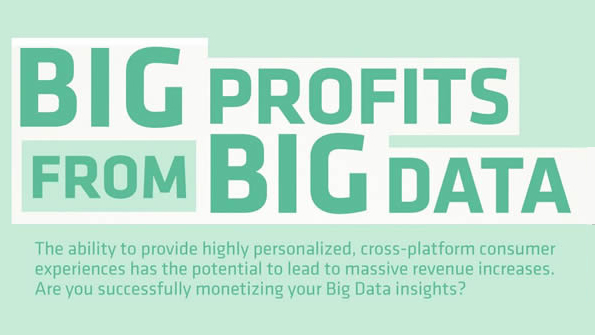 Big Profits from Big Data
