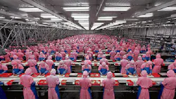 Thai Economy Soars in Q4 on Postflood Recovery Thai Economy Soars in Q4 on Postflood Recovery