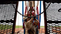 First New Domestic Refinery in 35 Years Being Built in North Dakota First New Domestic Refinery in 35 Years Being Built in North Dakota