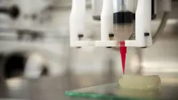 Scientists Use 3D Printer to Make TissueLike Material Scientists Use 3D Printer to Make TissueLike Material