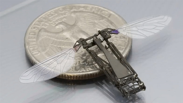 Robotic Insects Take Wing in US But Remain on Leash