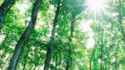 green energy green energy