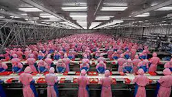 China Manufacturing Hits Sixmonth High China Manufacturing Hits Sixmonth High