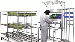 Testing the Market Before Expanding Testing the Market Before Expanding