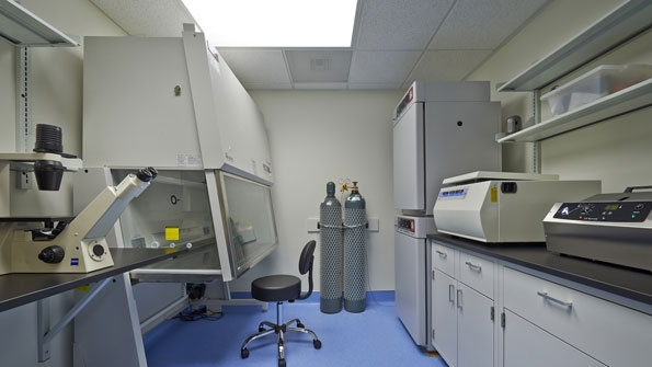 Oregons Building Blocks for BioScience Sector