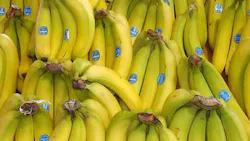 Chiquita Fyffes Merger to Create Top Banana Company Chiquita Fyffes Merger to Create Top Banana Company