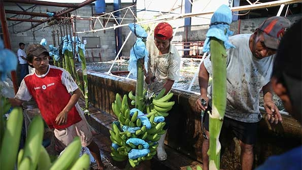 Copyright John Moore Getty Images