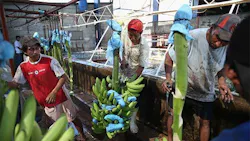 Copyright John Moore Getty Images Copyright John Moore Getty Images