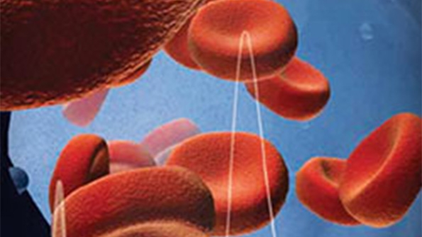 Medtech Firm Fined by US for Bribes in Russia Vietnam Thailand