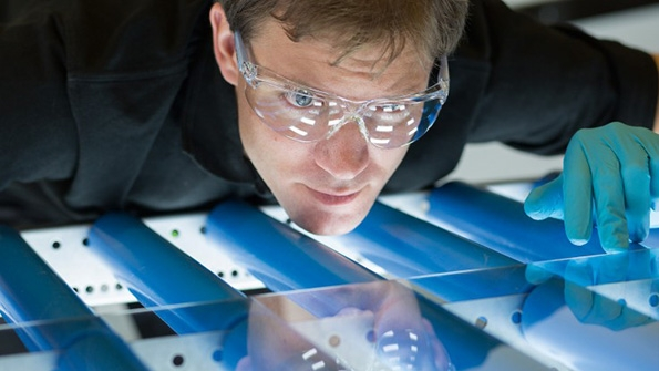 Merck Produces 60 of Liquid Crystals Which Owe their Existence to Carrots