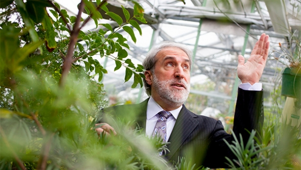 Daniel Nocera a professor of energy at Harvard is leading a team developing the quotartificial leafquot 10 times more energy efficient than natural organisms are
