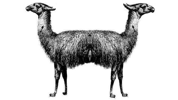 doolittle pushmi pullyu