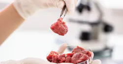 Lab Grown Meat Lab Grown Meat