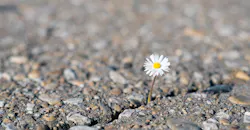 A Case for Hope A Case for Hope