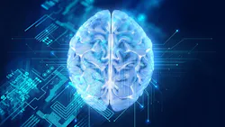 blue brain blue brain