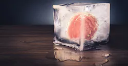 brain-ice-cube brain-ice-cube