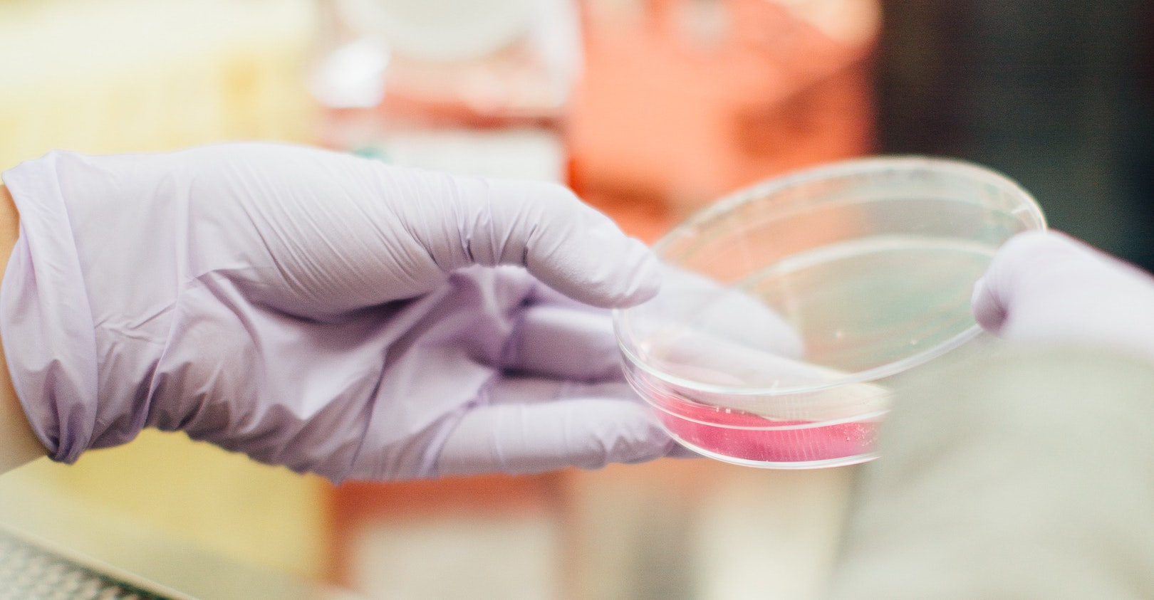 Drew Hays T G Yrlchf Ob E Unsplash 5e8cbef1e043f