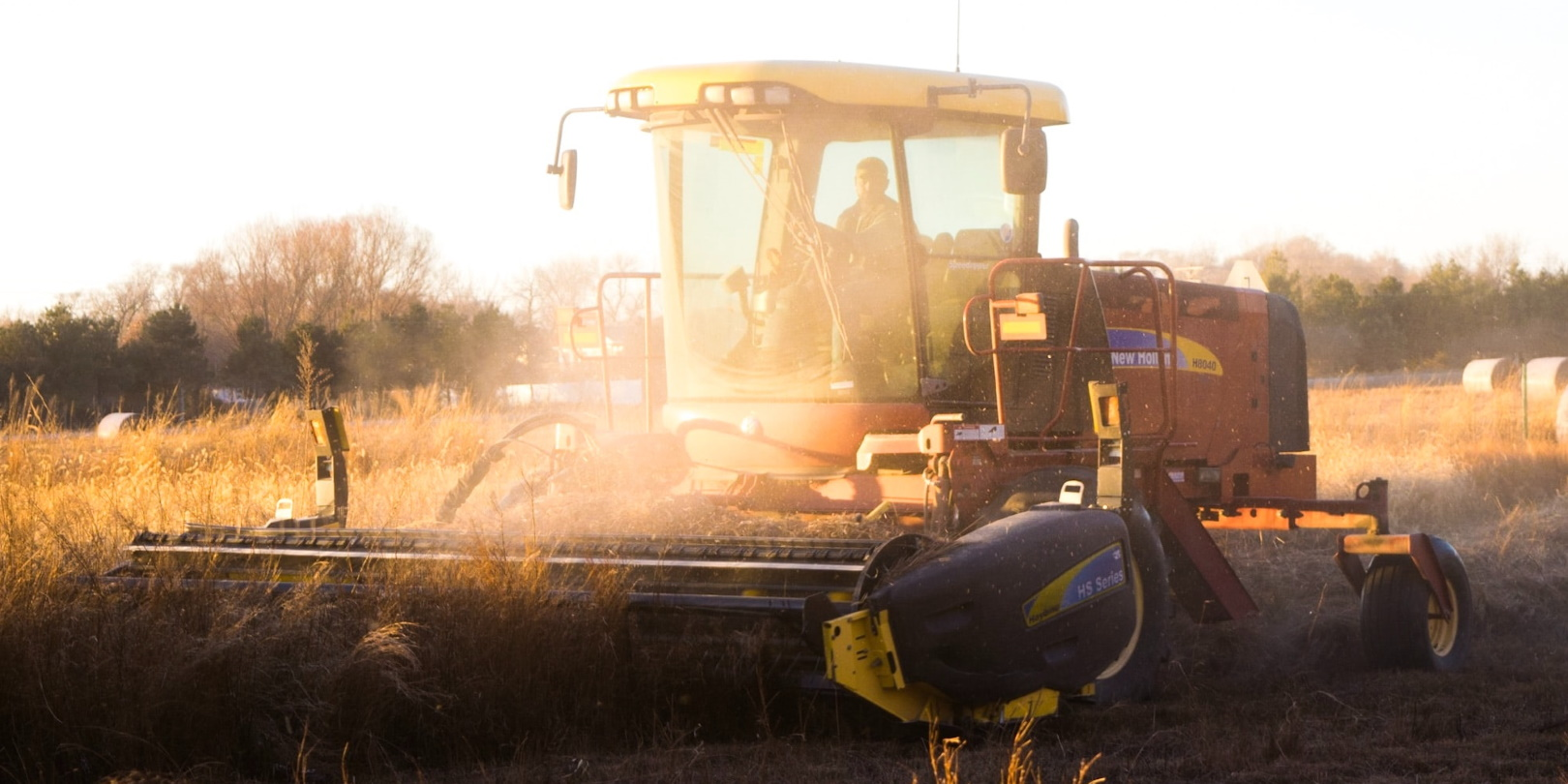 Noah Buscher G0m9k Kvkk B8 Unsplash 5ea8a79b1c7f1