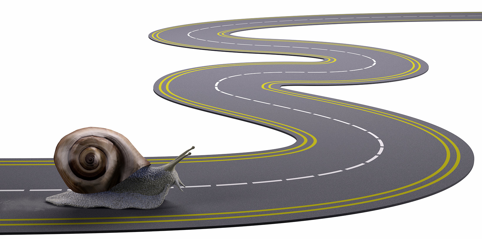 Snail S Pace 5ec5555009c73