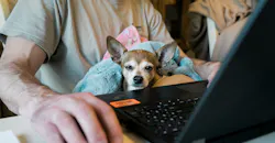 Allie H9 Ls95 Wl8t M Unsplash 5ed0f6929fd57 Allie H9 Ls95 Wl8t M Unsplash 5ed0f6929fd57