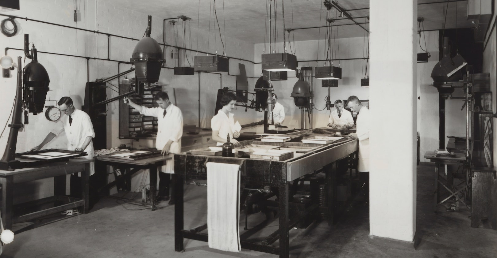 Museums Victoria 4 Eylr Tiun Ww Unsplash 5ee34bc1877c8