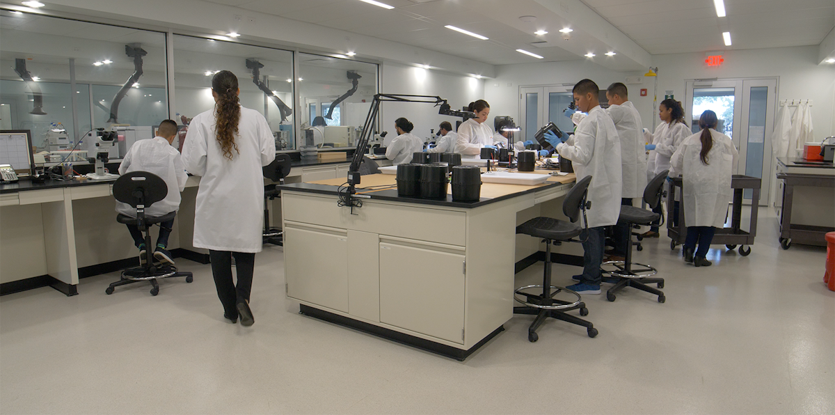 Puerto Rico S Pharma Push Industryweek