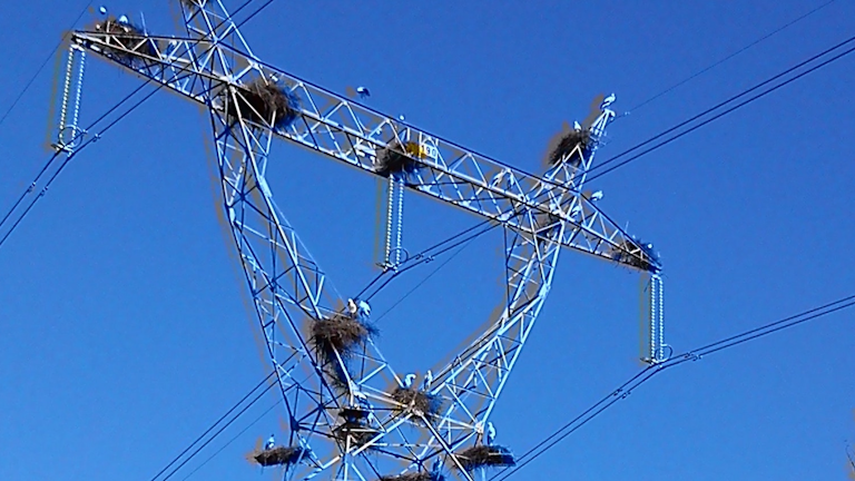 Powering A Safer Future Industryweek