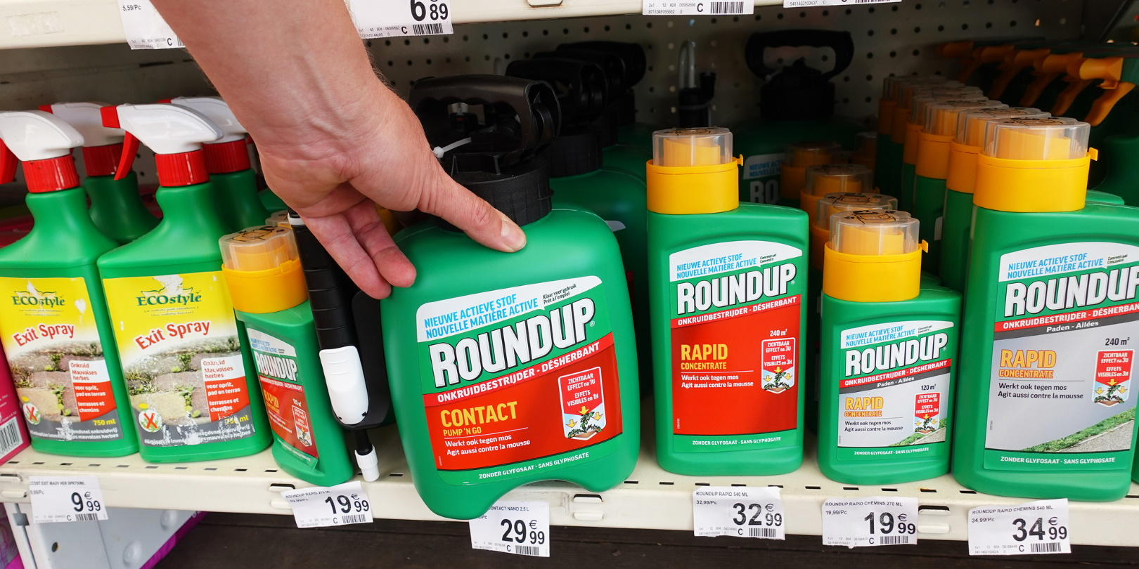 Rene Van Den Berg Dreamstime 5fa190ca62571