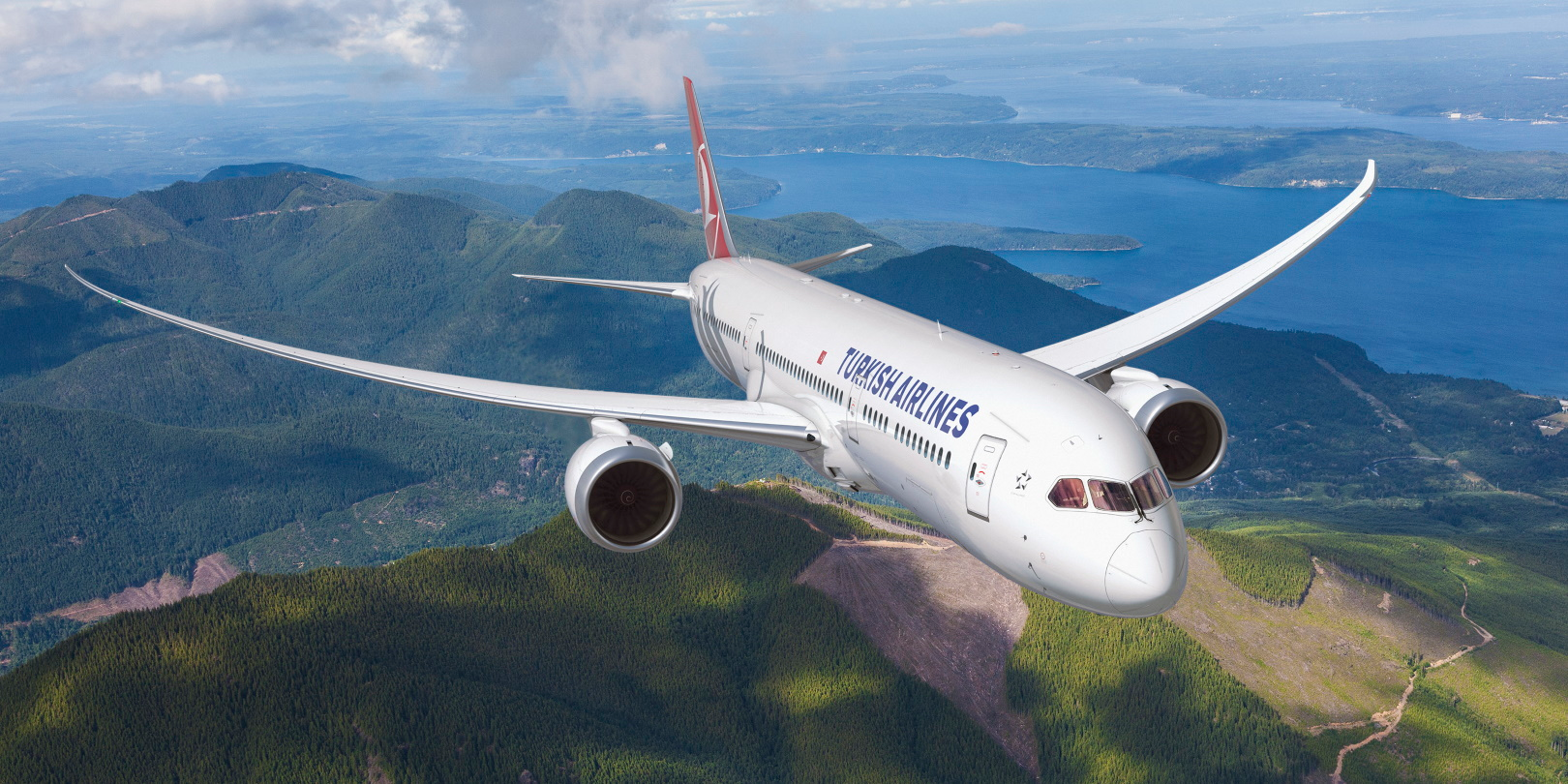 Boeing 787 Dreamliner Boeing Co 5fab8c4c87af4