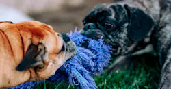 Meritt Thomas Ifk5 R Op Timo Unsplash 6091648348953 Meritt Thomas Ifk5 R Op Timo Unsplash 6091648348953