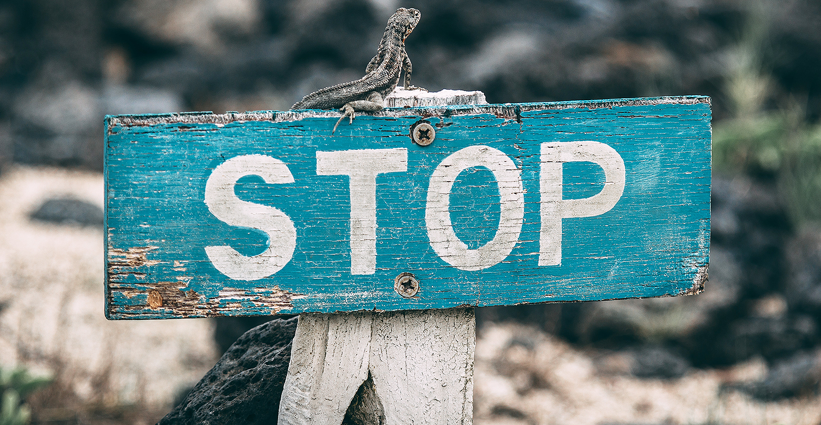 Stop Jose Aragones 81 Qk Oo P Gah Y Unsplash 610d3f3ccd147