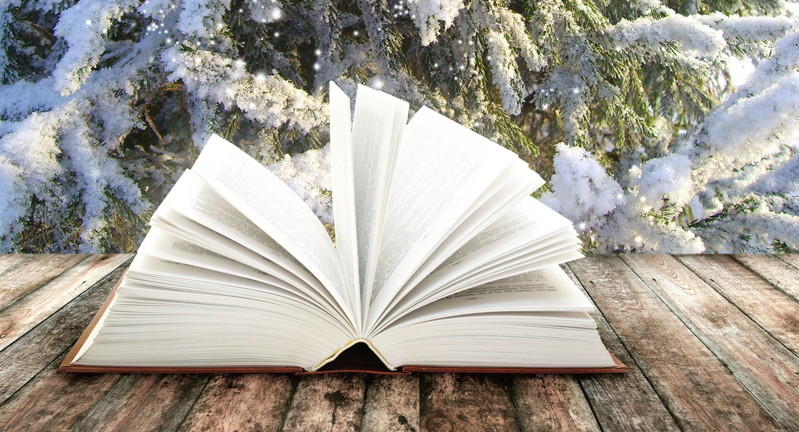 Book In Winter Dreamstime Xl 37158801 61d86c84a1430