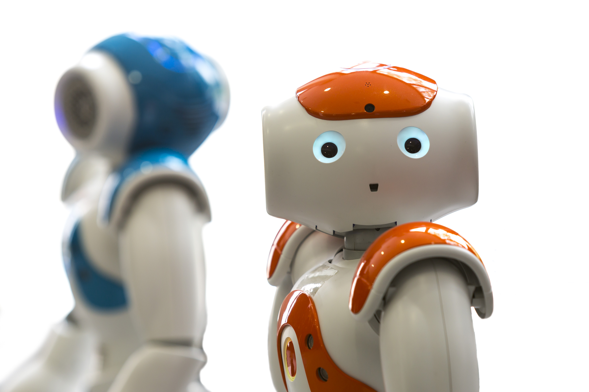 Dreamstime Xxl 72412821 6408a7208a67a