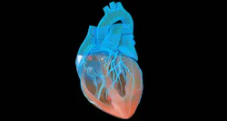 2023 09 21 15 43 04 2023 09 21 15 43 04