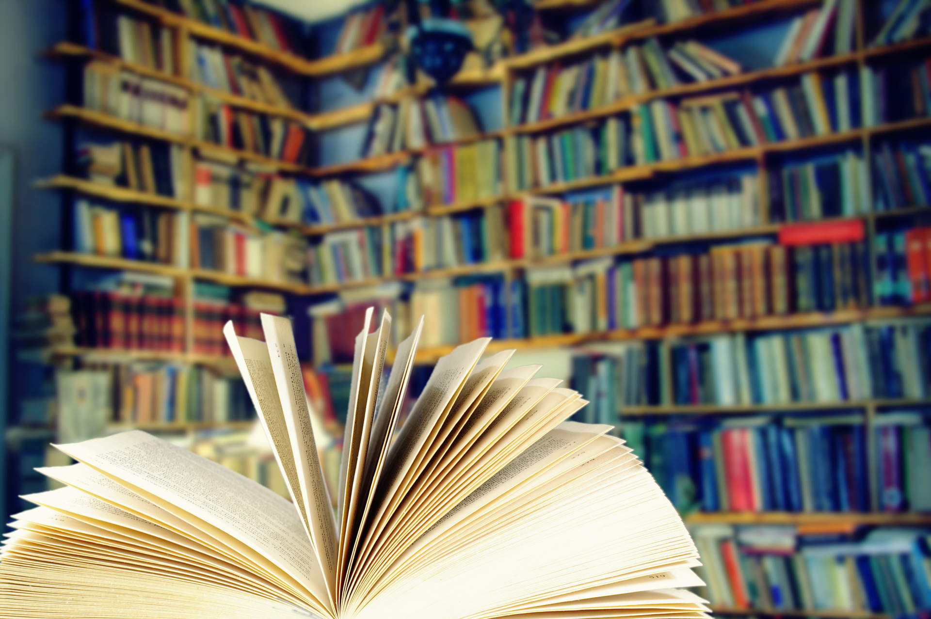 Dreamstime Xxl 23266127 650d9ac643278