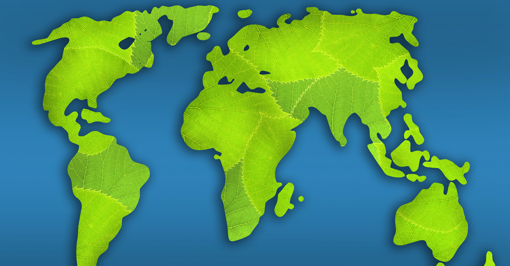 Green World 65299bb20287f