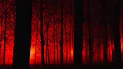 Dreamstime L 79266070 Scare 6545130443d14 Dreamstime L 79266070 Scare 6545130443d14