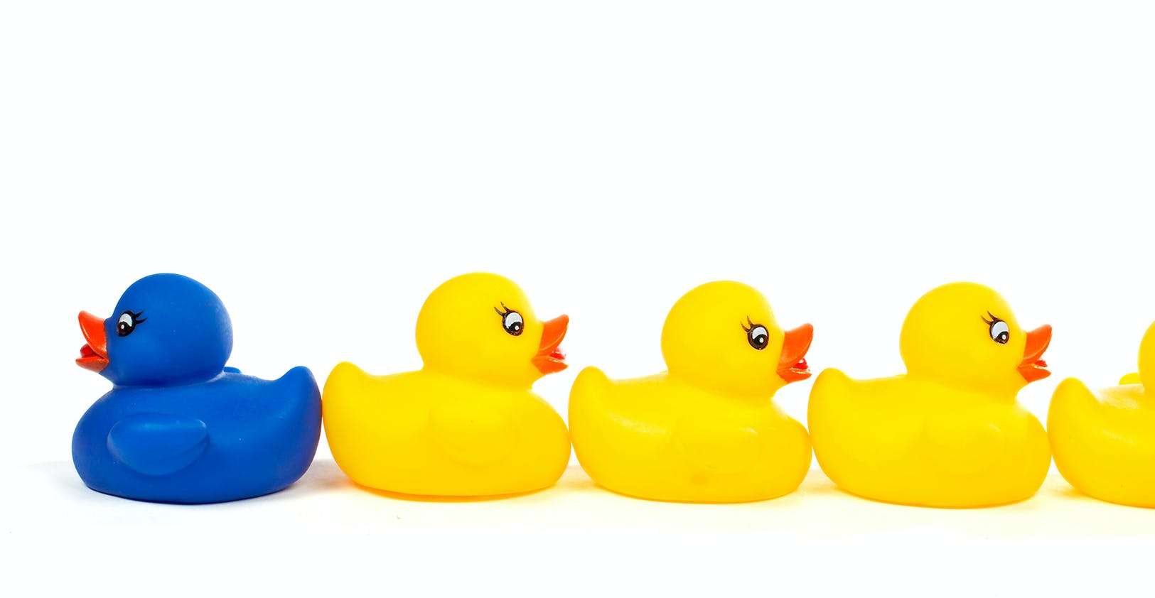 656a4825d95cfb001ec36844 Resistance With Ducks