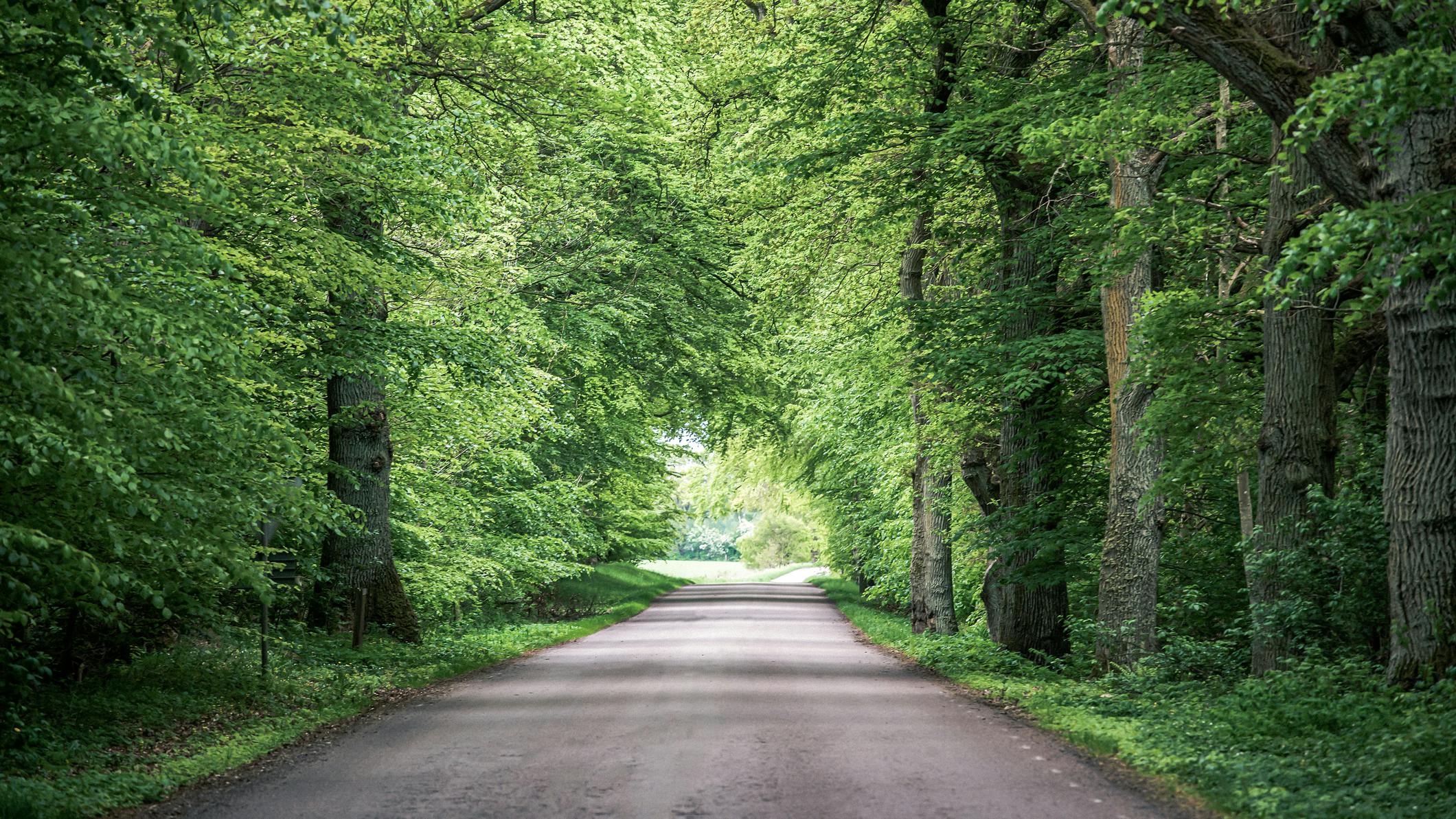 dreamstime_m_153569889