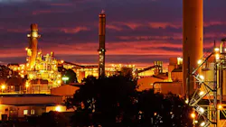 66217cfd2a3ffb001e296768 Aa Plant Dark 66217cfd2a3ffb001e296768 Aa Plant Dark