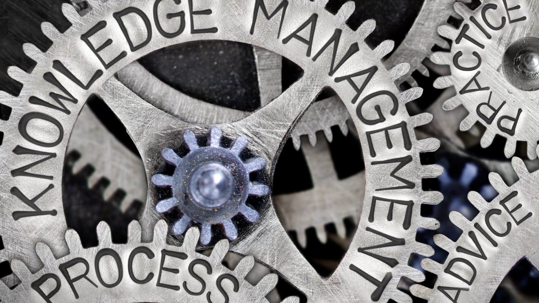 66579069d40fe9e03a50f911 Dreamstime M 105220109