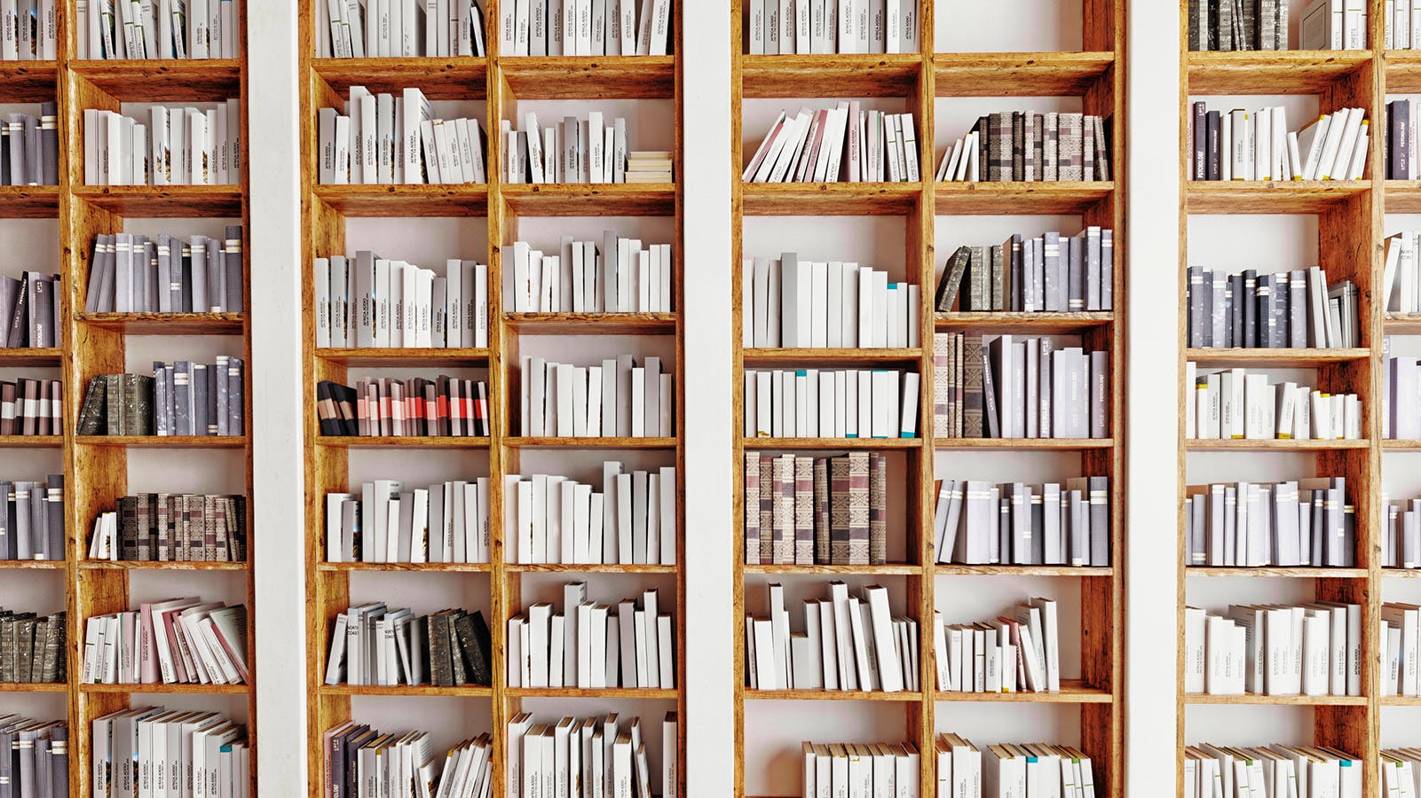 6663265720d49b163a89495e Books Library Dreamstime L 65434293