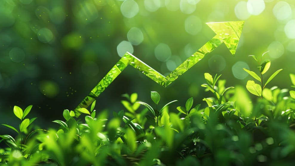 sustainable_is_profitable_esg