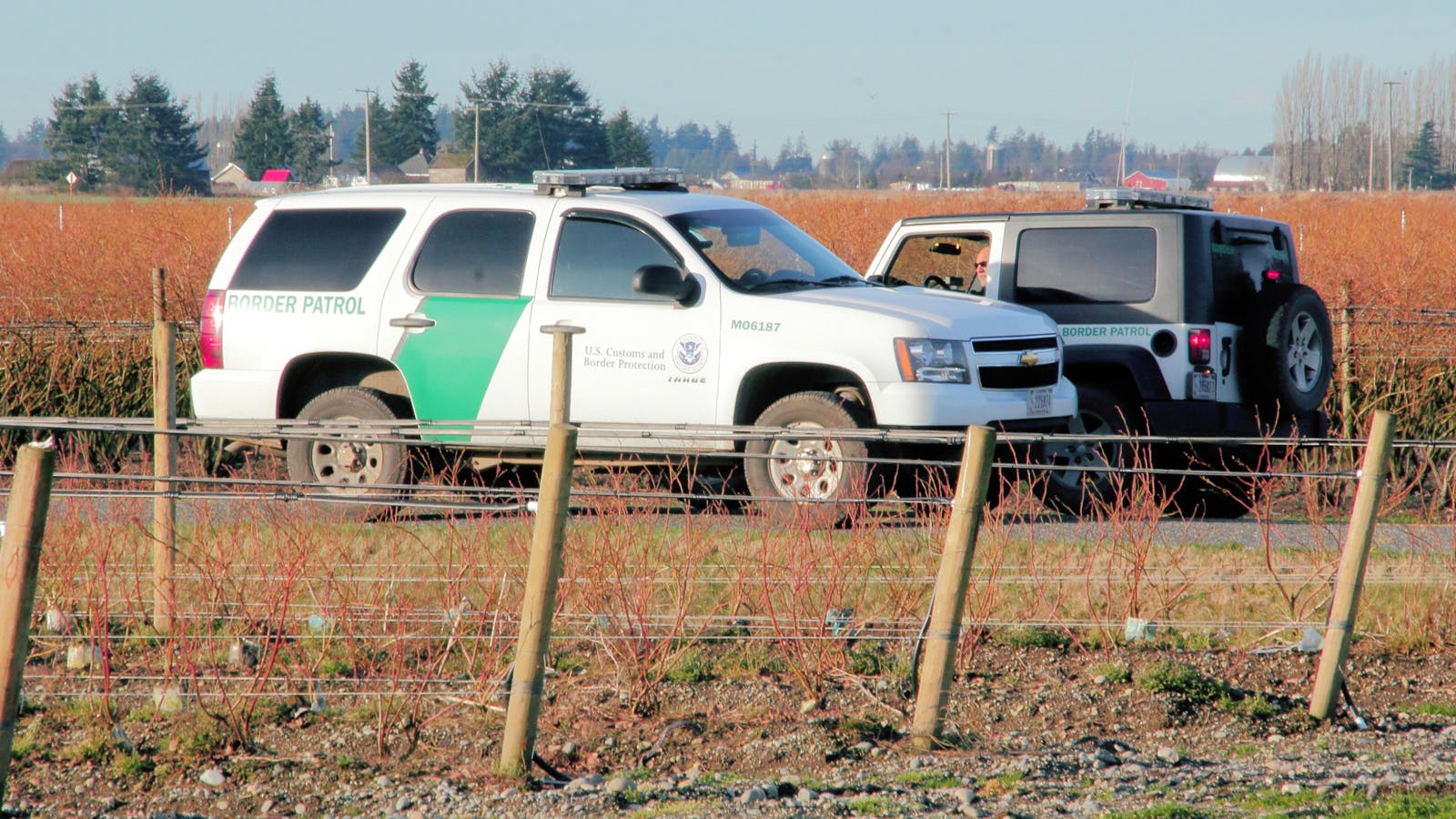 67a2d0b38e265644228f5229 Iceimmigrationsandcustomsenforcementvans50316708mo