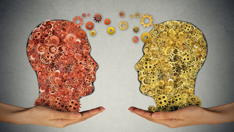 dreamstime_s_53103992