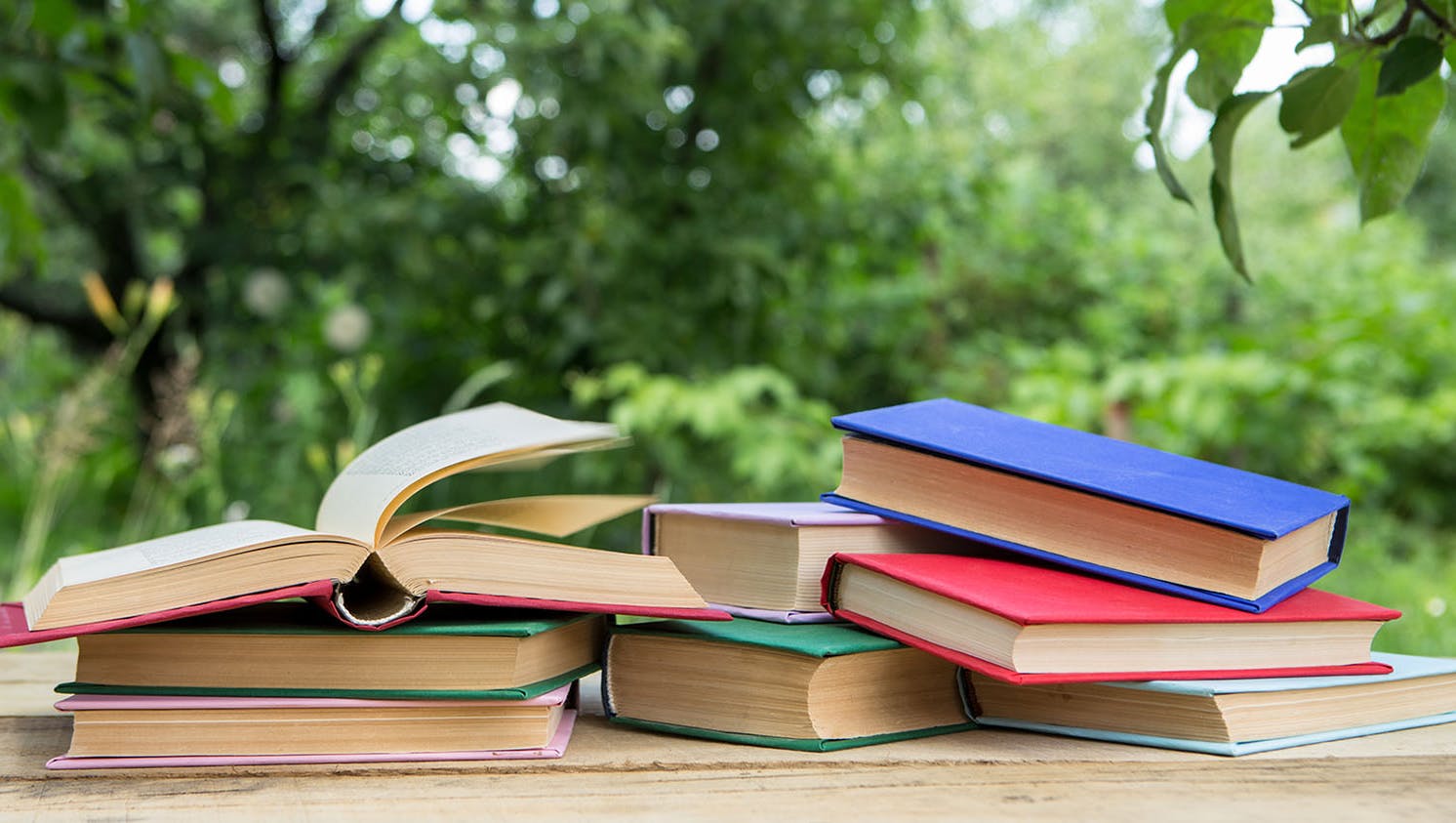 685eb62a2b0e4626dc6fd70c Booksoutsidedreamstime Xl 211243907