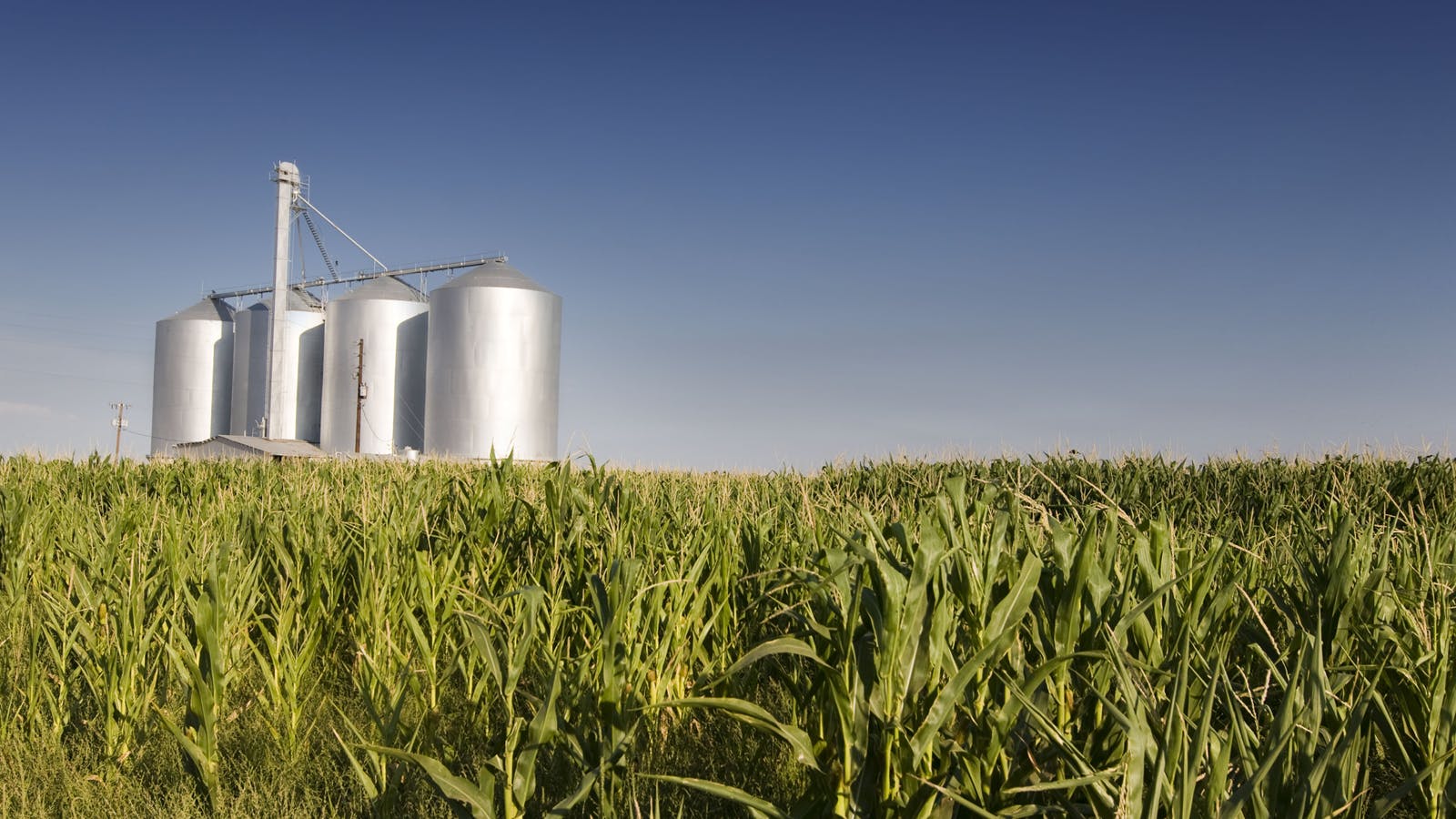 68b78d8a295b26359770ed2a Silo1600dreamstime L 5664083