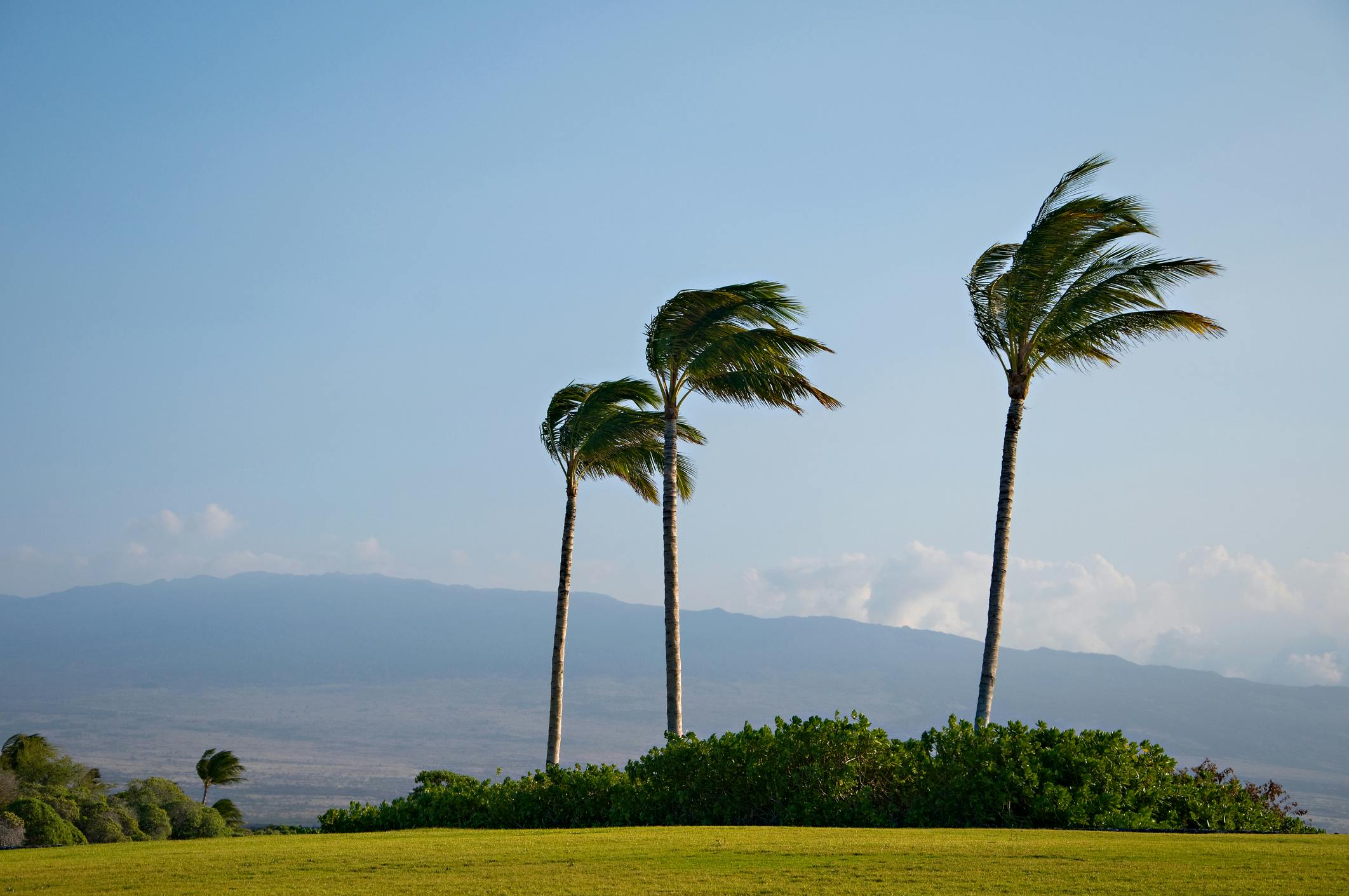 dreamstime_m_62170662