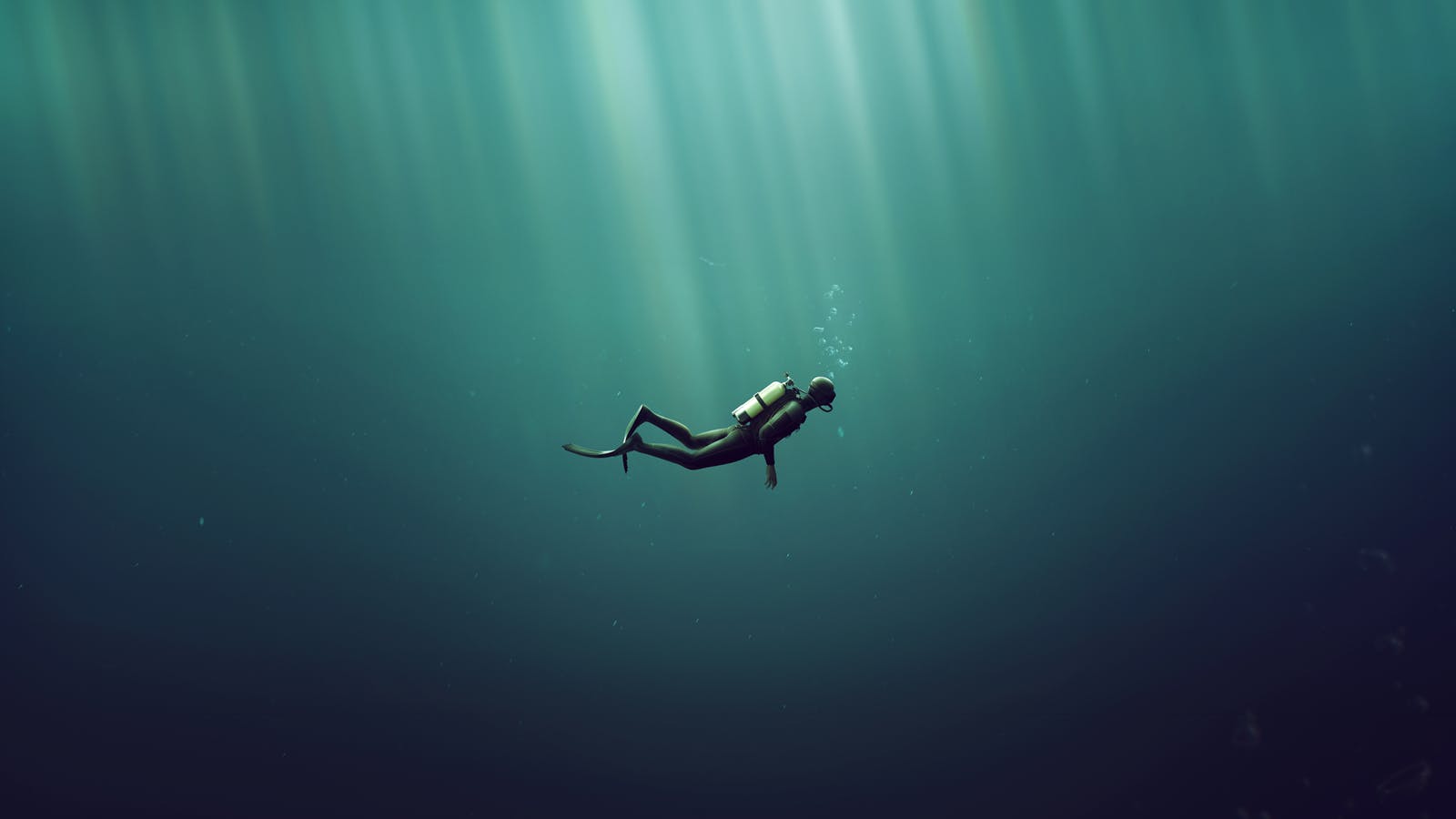 divingdreamstime_l_168627722