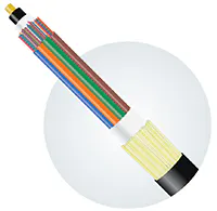 Rollin_Fig4_042018 Rollin_Fig4_042018